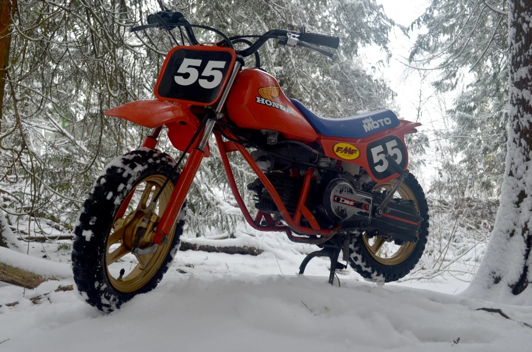 1983 Honda QA50 - Image 30 of 31