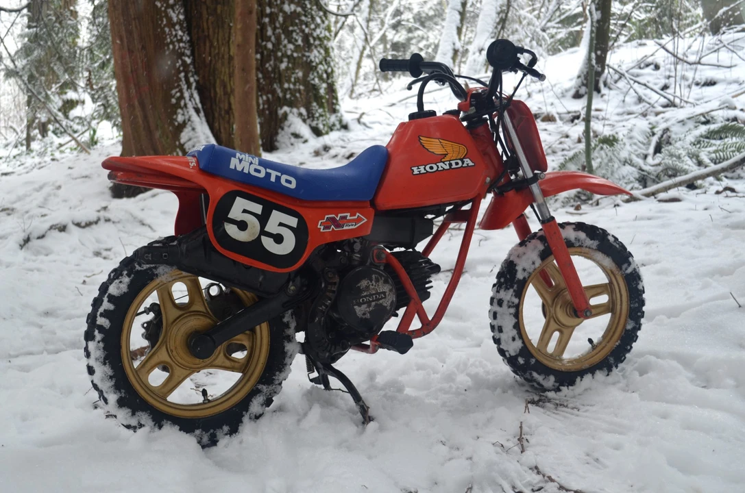 1983 Honda QA50 - Image 16 of 31