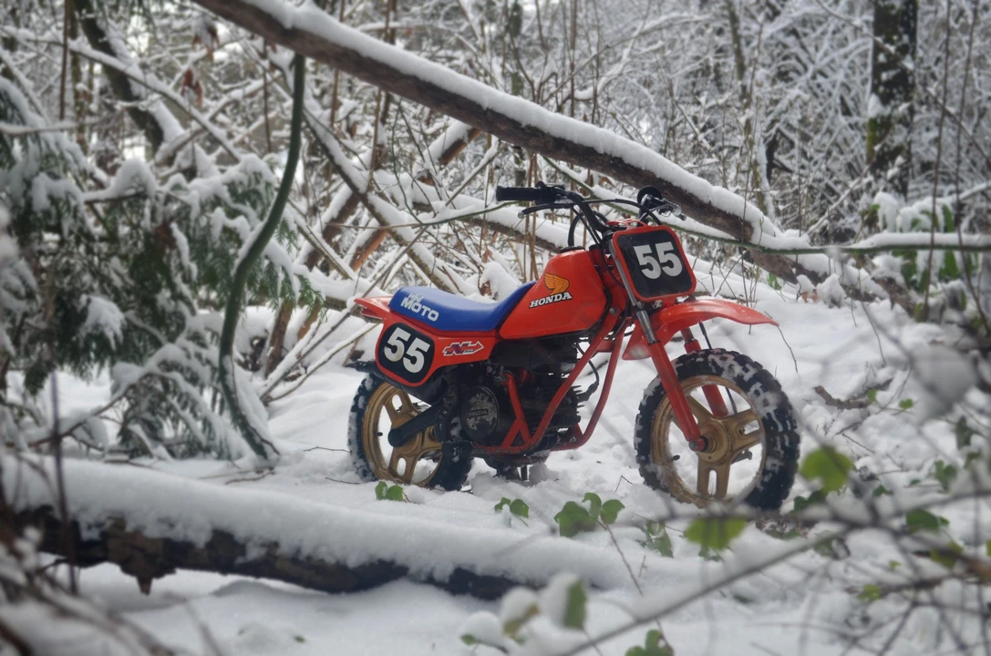 1983 Honda QA50 - Image 12 of 31