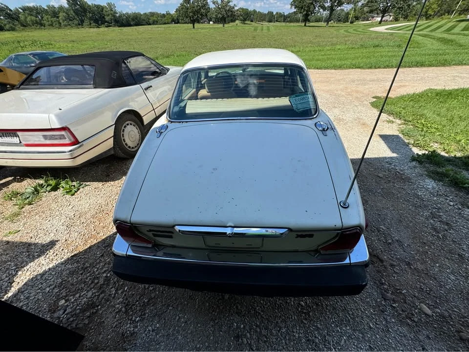 1983 Jaguar XJ Series 3 - Image 3 of 5