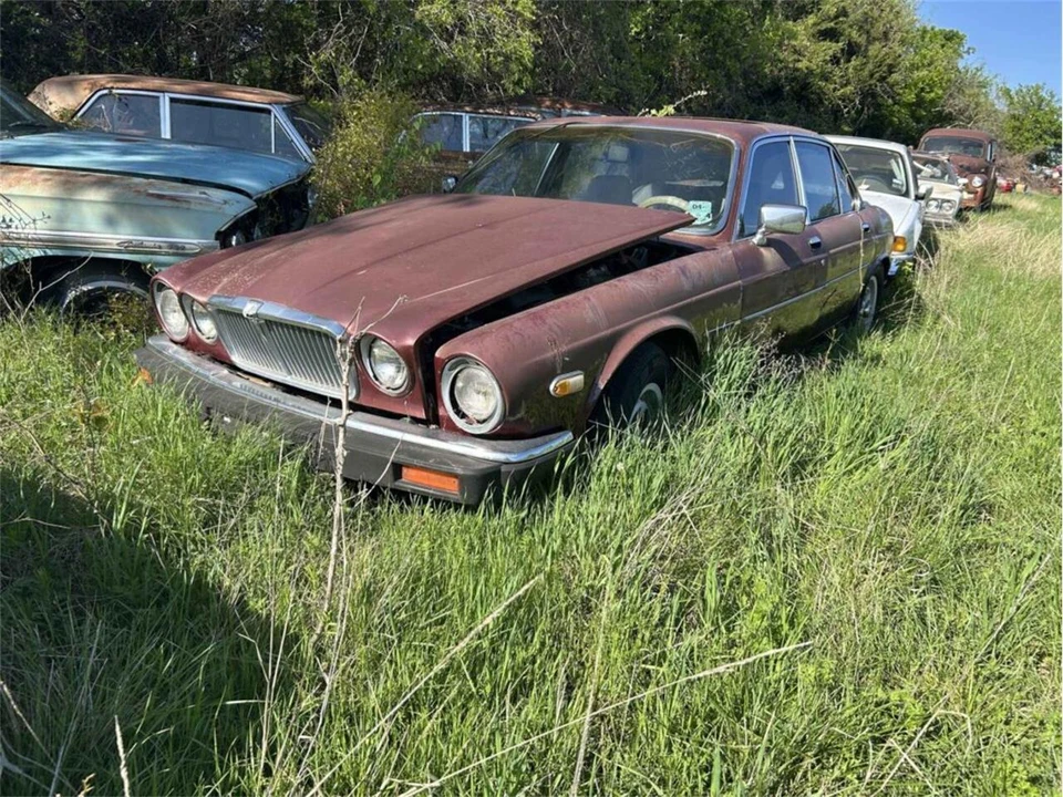1983 Jaguar XJ Series 3 - Image 2 of 13
