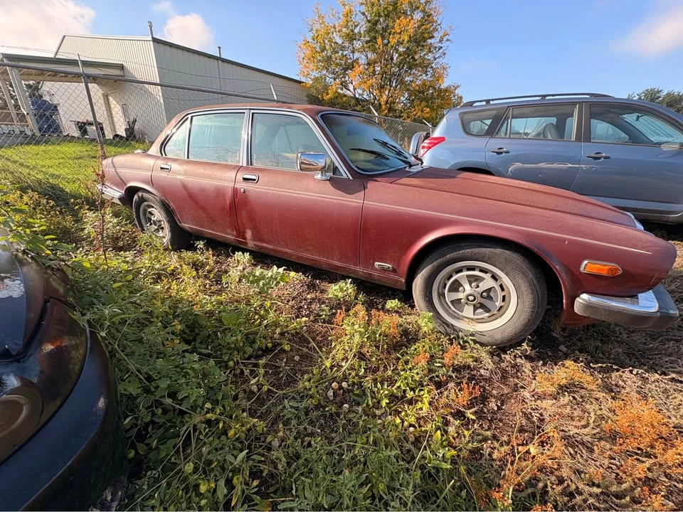 1983 Jaguar XJ Series 3 - Image 7 of 8