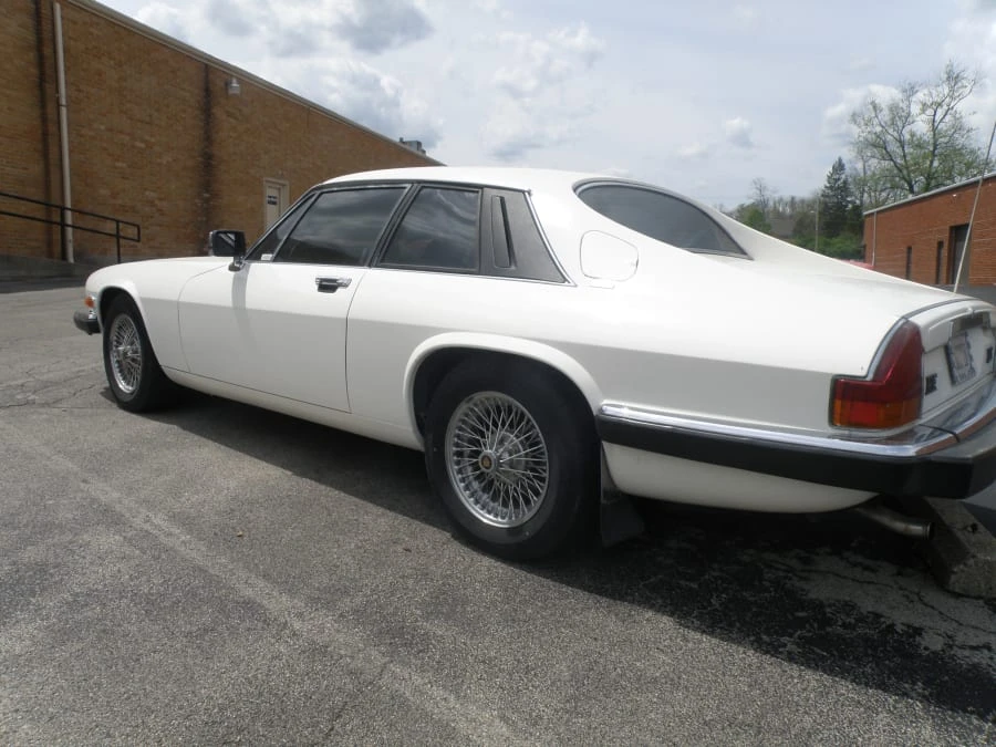 1983 Jaguar XJS - Image 5 of 6