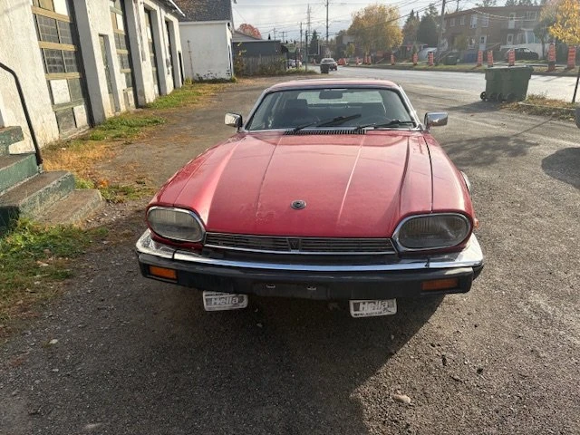 1983 Jaguar XJS - Image 2 of 11