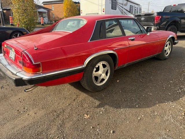 1983 Jaguar XJS - Image 4 of 11