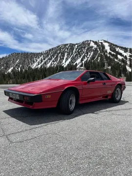 1983 Lotus Esprit Turbo S3