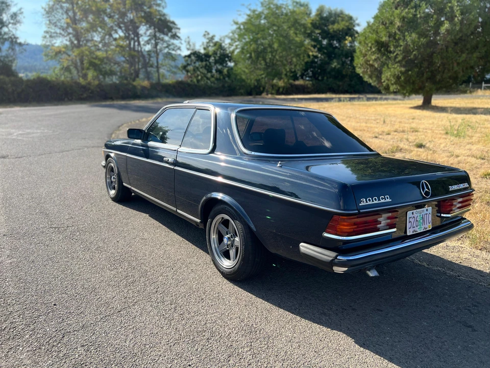 1983 Mercedes-Benz E-Class - Image 16 of 31