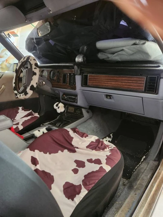 1983 Ford Mustang 3rd Gen - Image 4 of 5
