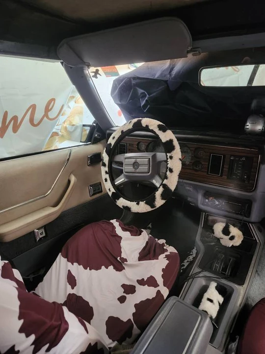 1983 Ford Mustang 3rd Gen - Image 3 of 5