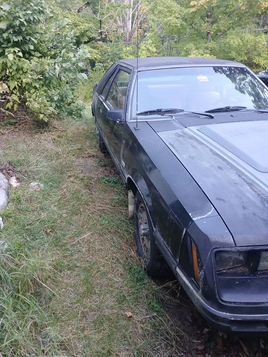 1983 Ford Mustang GT 3rd Gen - Image 2 of 2