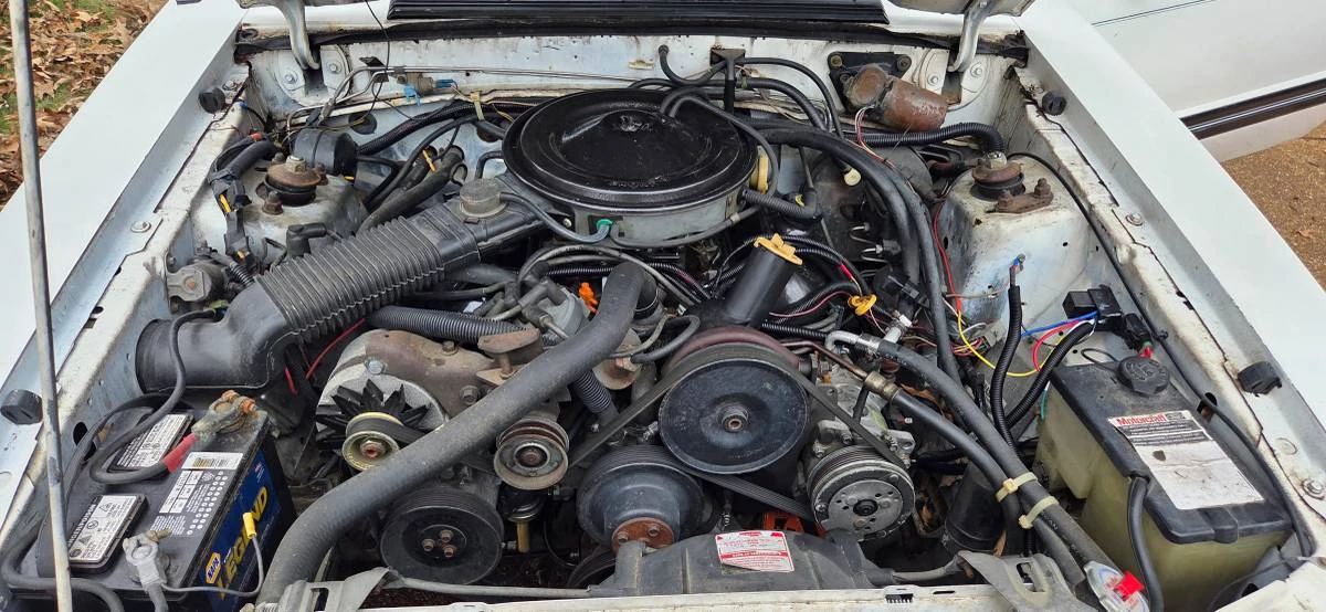 1983 Ford Mustang 3rd Gen - Image 8 of 22