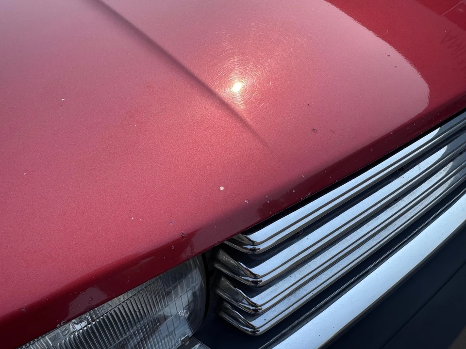 1983 Nissan Sentra 1st Gen - Image 13 of 31