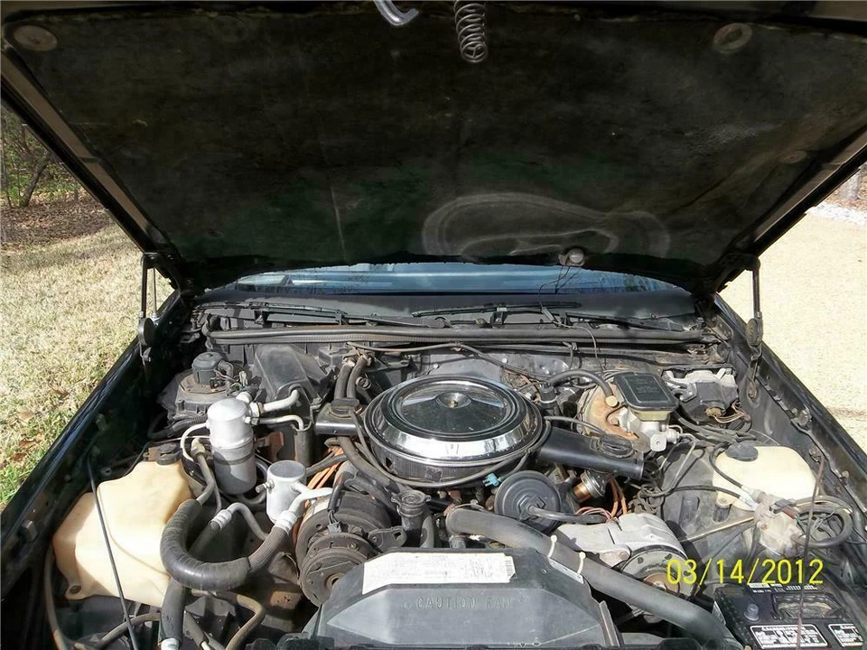 1983 Oldsmobile Hurst/Olds - Image 3 of 5