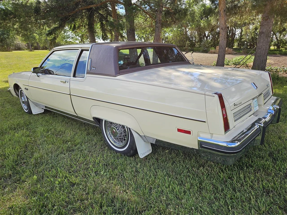 1983 Oldsmobile 98 - Image 3 of 22