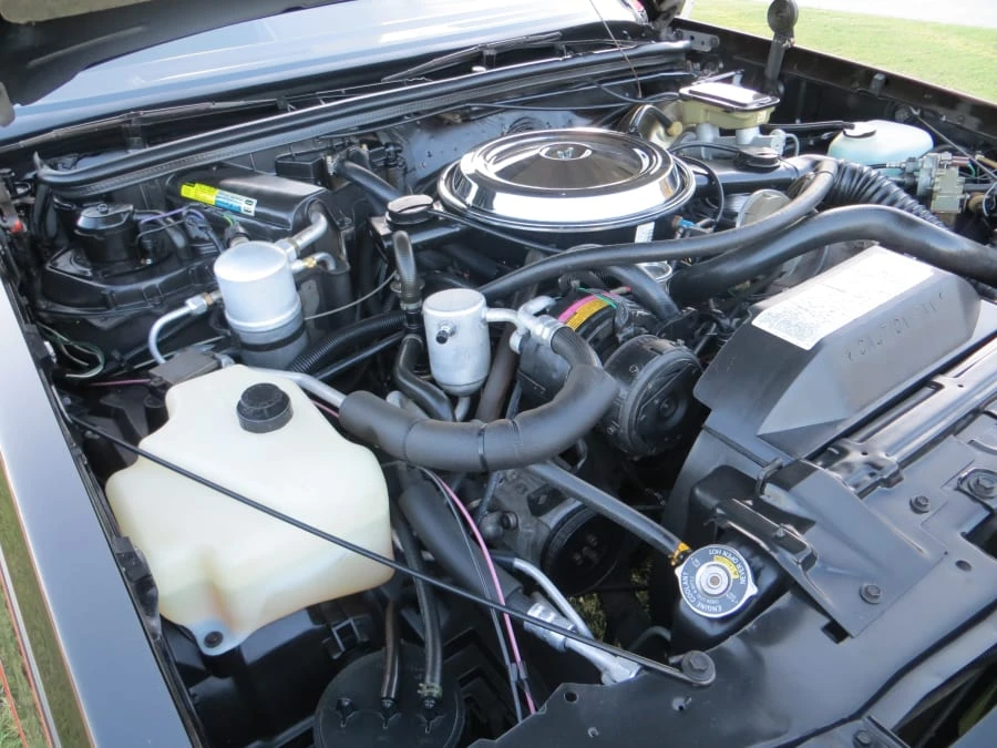 1983 Oldsmobile Hurst/Olds - Image 8 of 10
