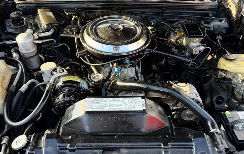 1983 Oldsmobile Hurst/Olds - Image 20 of 20