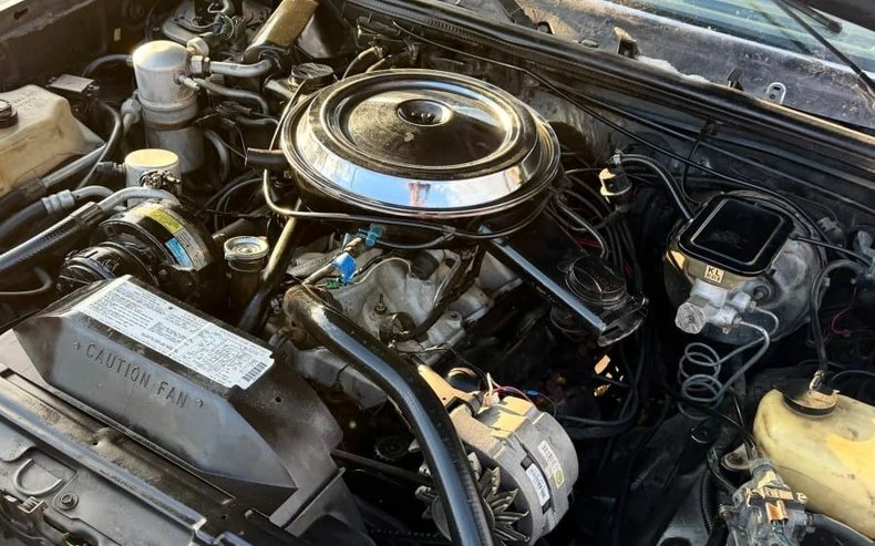 1983 Oldsmobile Hurst/Olds - Image 19 of 20