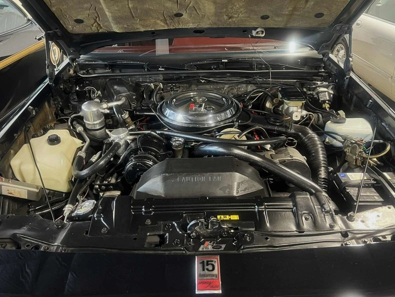 1983 Oldsmobile Hurst/Olds - Image 17 of 28