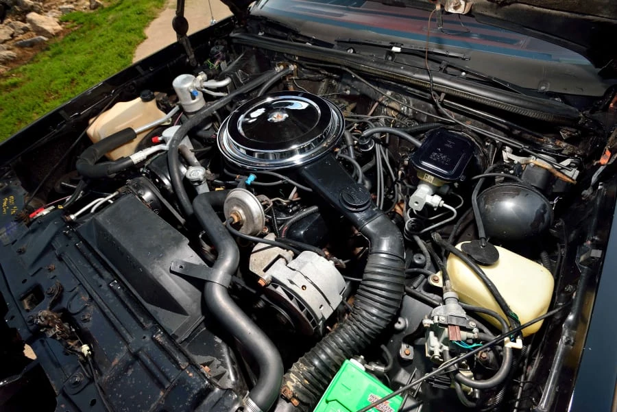 1983 Oldsmobile Hurst/Olds - Image 6 of 12