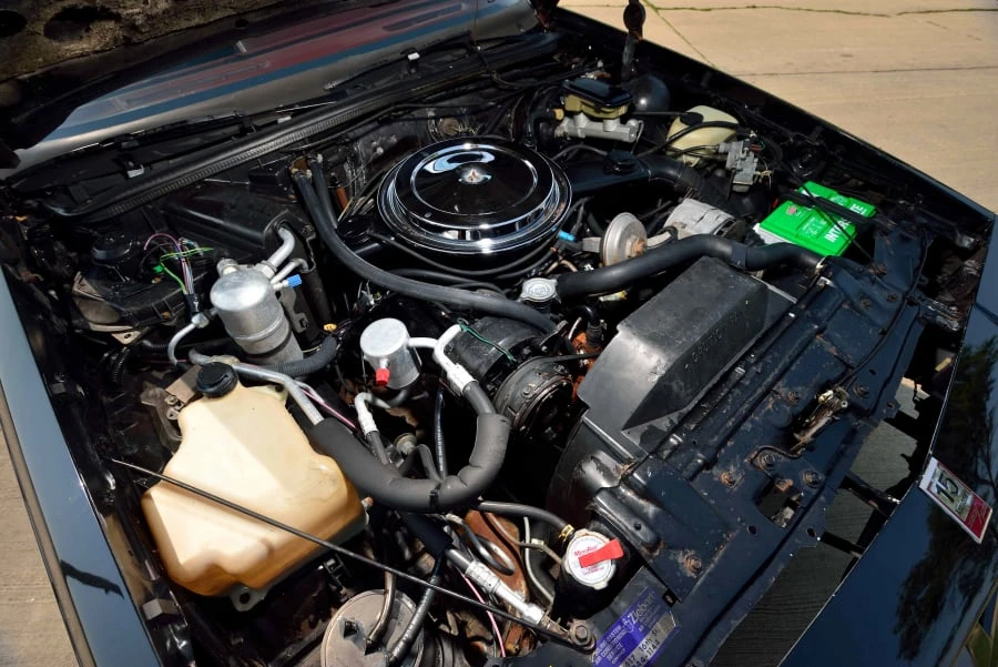 1983 Oldsmobile Hurst/Olds - Image 7 of 12