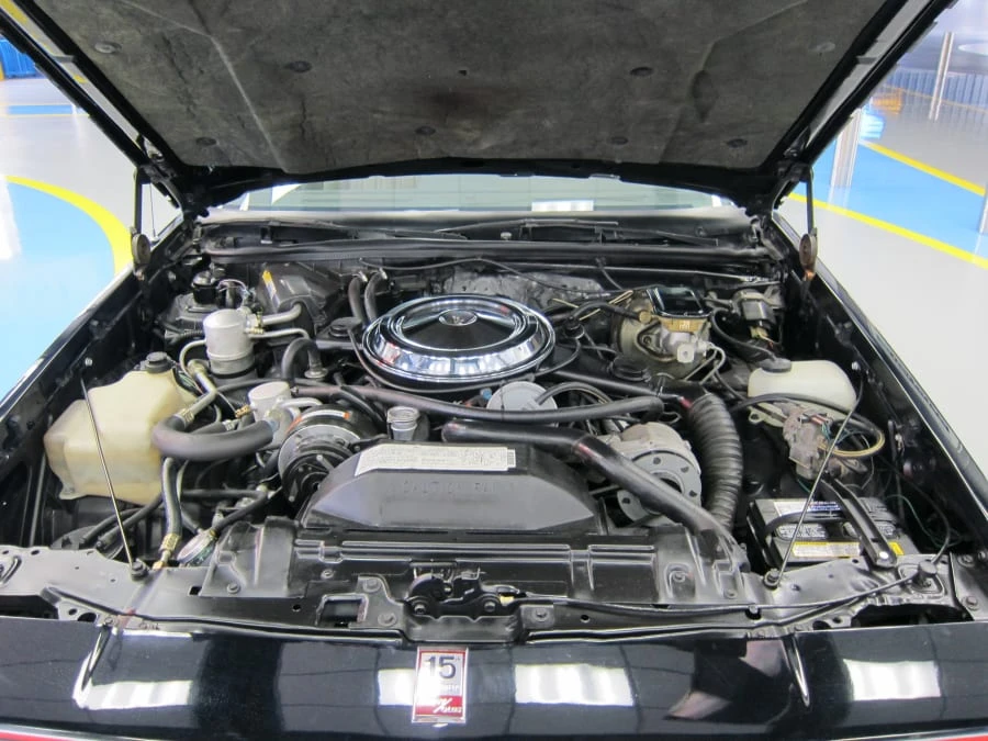1983 Oldsmobile Hurst/Olds - Image 6 of 10