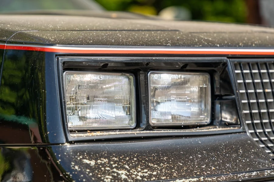 1983 Oldsmobile Hurst/Olds - Image 7 of 25