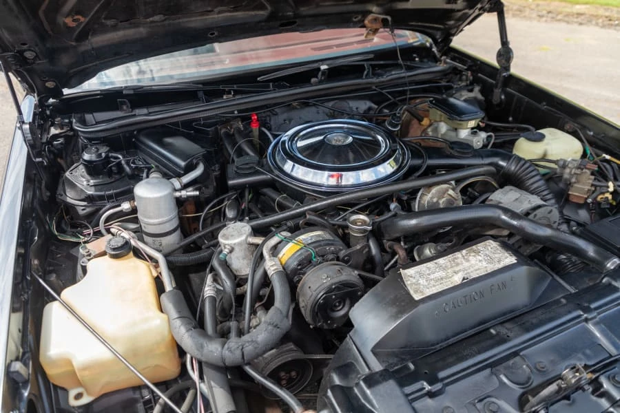 1983 Oldsmobile Hurst/Olds - Image 20 of 20