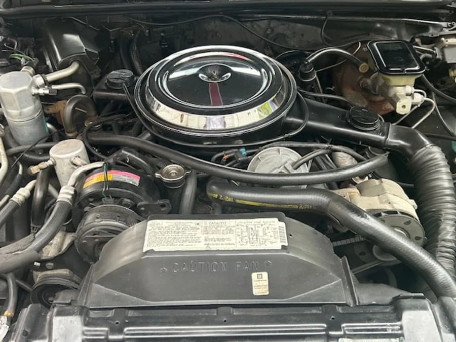 1983 Oldsmobile Hurst/Olds - Image 18 of 24