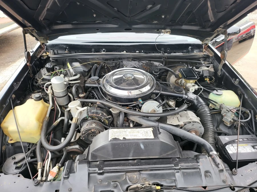 1983 Oldsmobile Hurst/Olds - Image 10 of 10