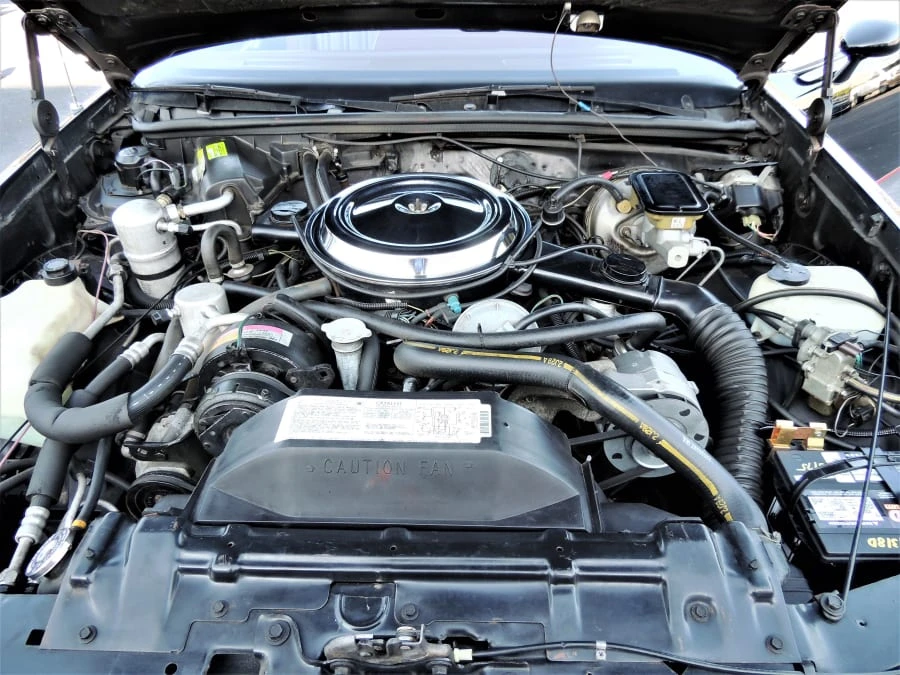 1983 Oldsmobile Hurst/Olds - Image 9 of 12