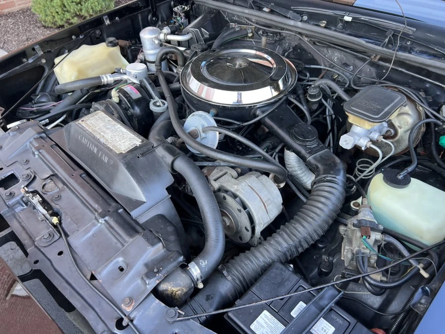 1983 Oldsmobile Hurst/Olds - Image 8 of 10