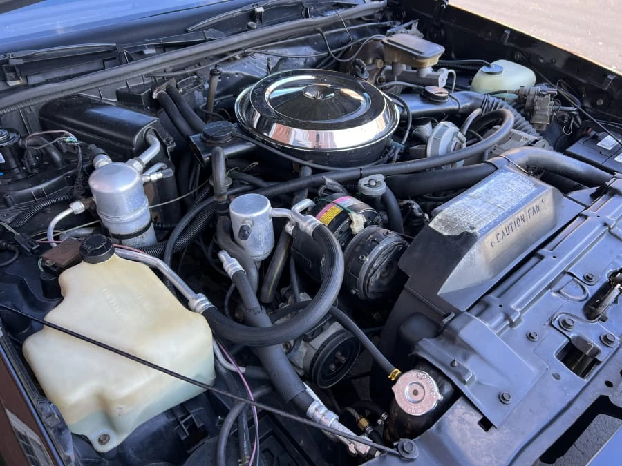 1983 Oldsmobile Hurst/Olds - Image 9 of 10
