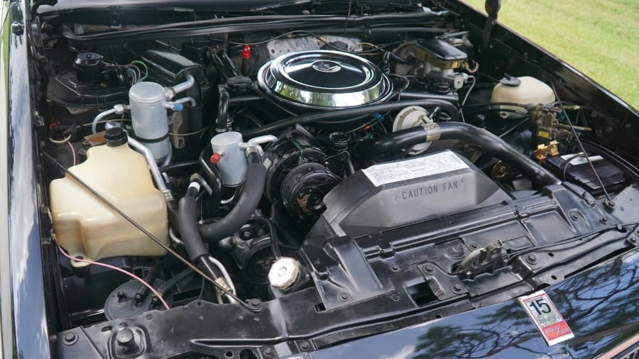 1983 Oldsmobile Hurst/Olds - Image 20 of 20