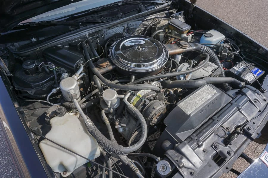 1983 Oldsmobile Hurst/Olds - Image 22 of 24