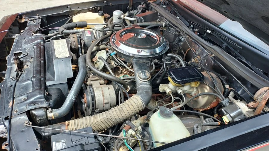 1983 Oldsmobile Hurst/Olds - Image 8 of 15
