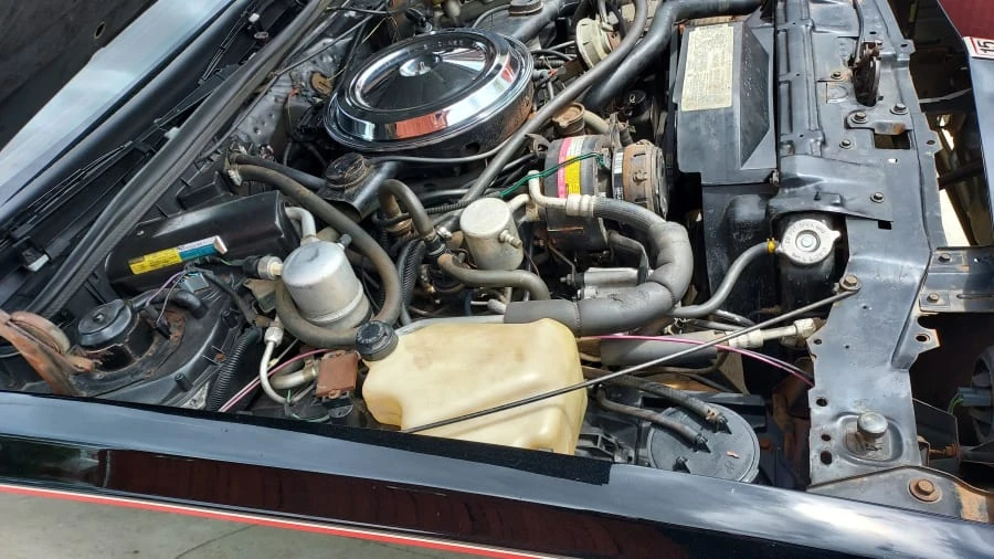 1983 Oldsmobile Hurst/Olds - Image 9 of 15