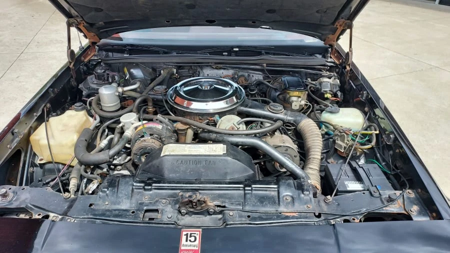 1983 Oldsmobile Hurst/Olds - Image 7 of 15