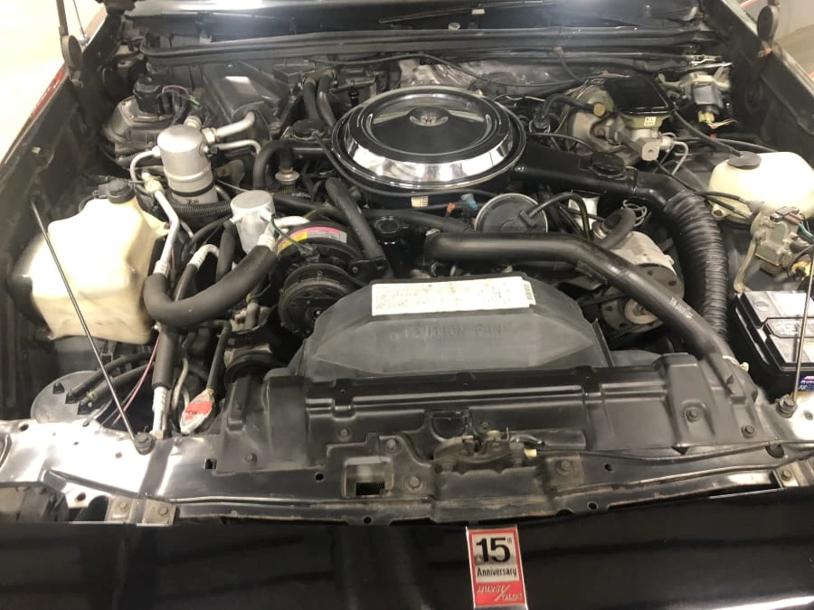 1983 Oldsmobile Hurst/Olds - Image 6 of 8