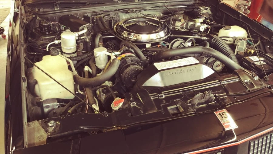 1983 Oldsmobile Hurst/Olds - Image 6 of 9