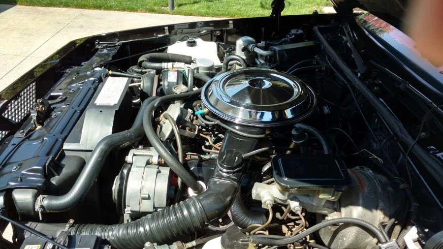 1983 Oldsmobile Hurst/Olds - Image 6 of 8