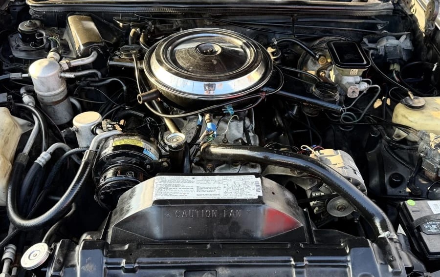1983 Oldsmobile Hurst/Olds - Image 19 of 20
