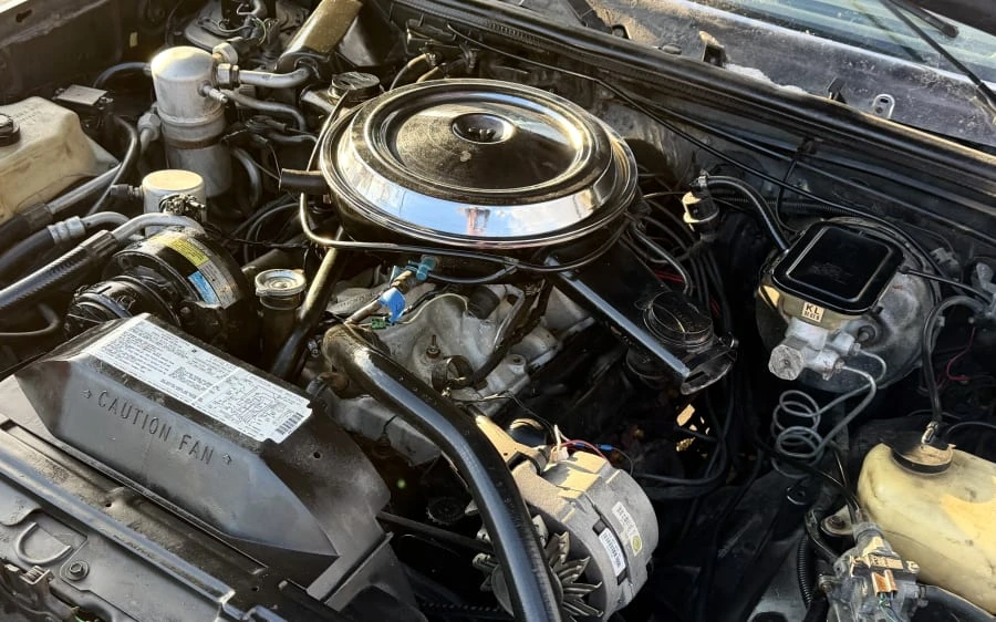 1983 Oldsmobile Hurst/Olds - Image 20 of 20
