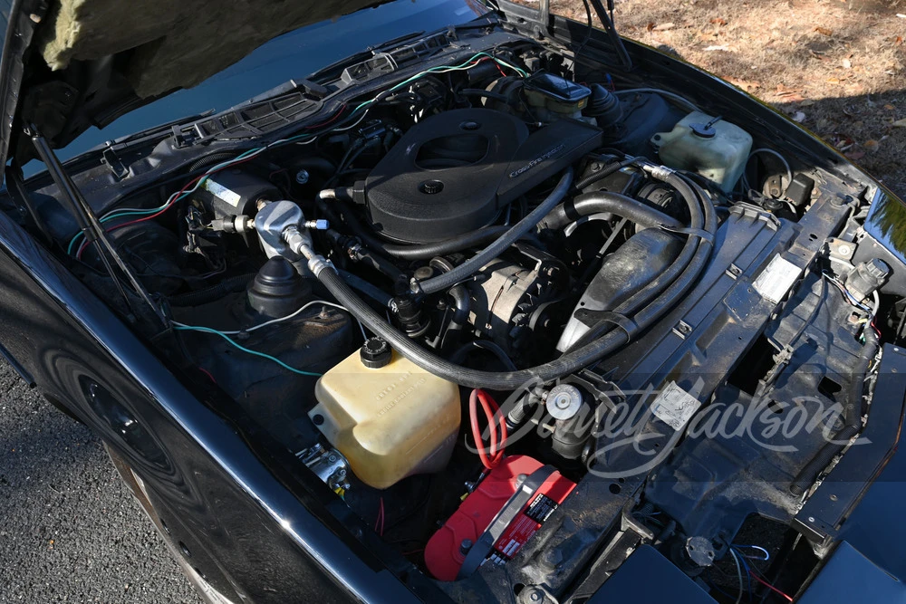 1983 Pontiac Firebird Trans Am 3rd Gen - Image 7 of 20