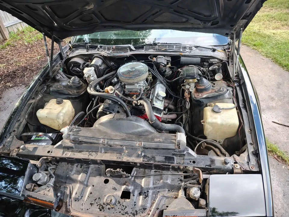 1983 Pontiac Firebird 3rd Gen - Image 7 of 10