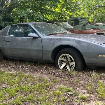 1983 Pontiac Firebird