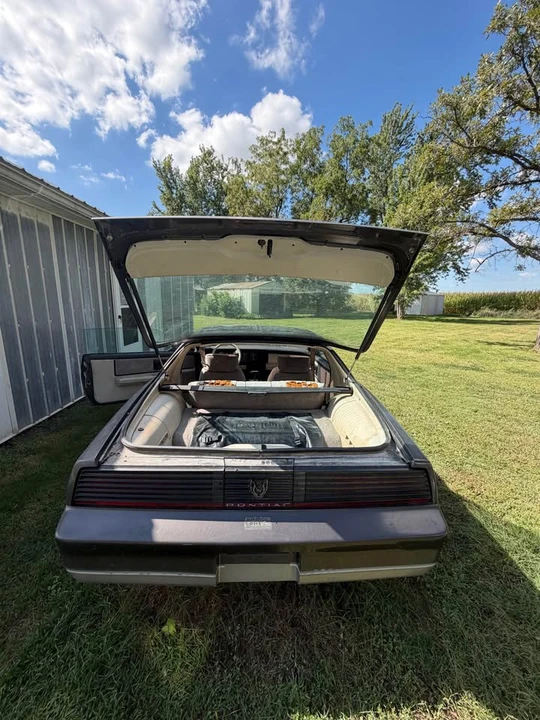 1983 Pontiac Firebird 3rd Gen - Image 10 of 18