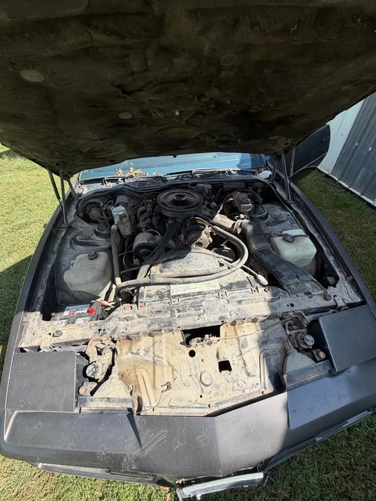 1983 Pontiac Firebird 3rd Gen - Image 7 of 18