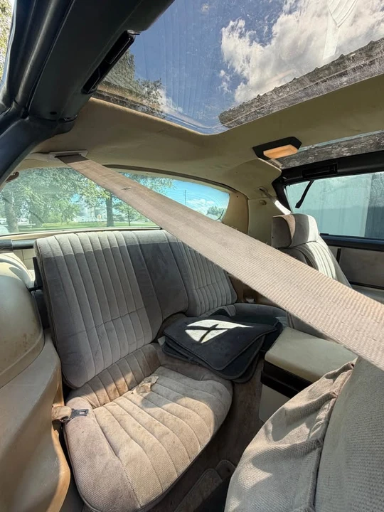 1983 Pontiac Firebird 3rd Gen - Image 9 of 18