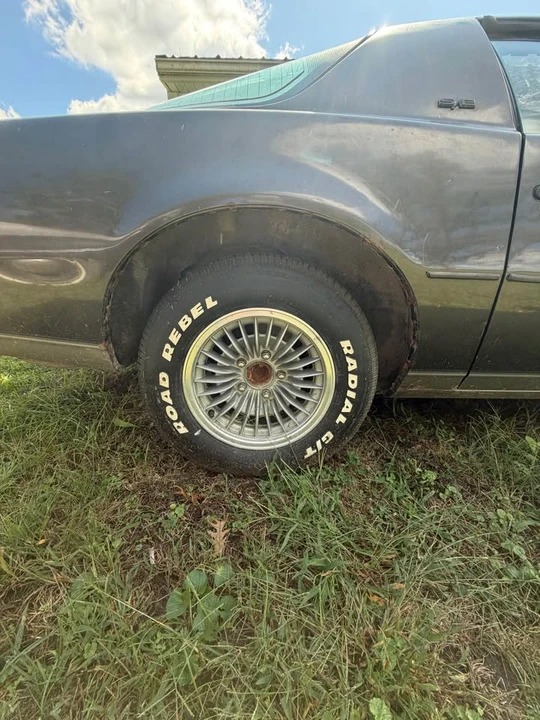 1983 Pontiac Firebird 3rd Gen - Image 6 of 18