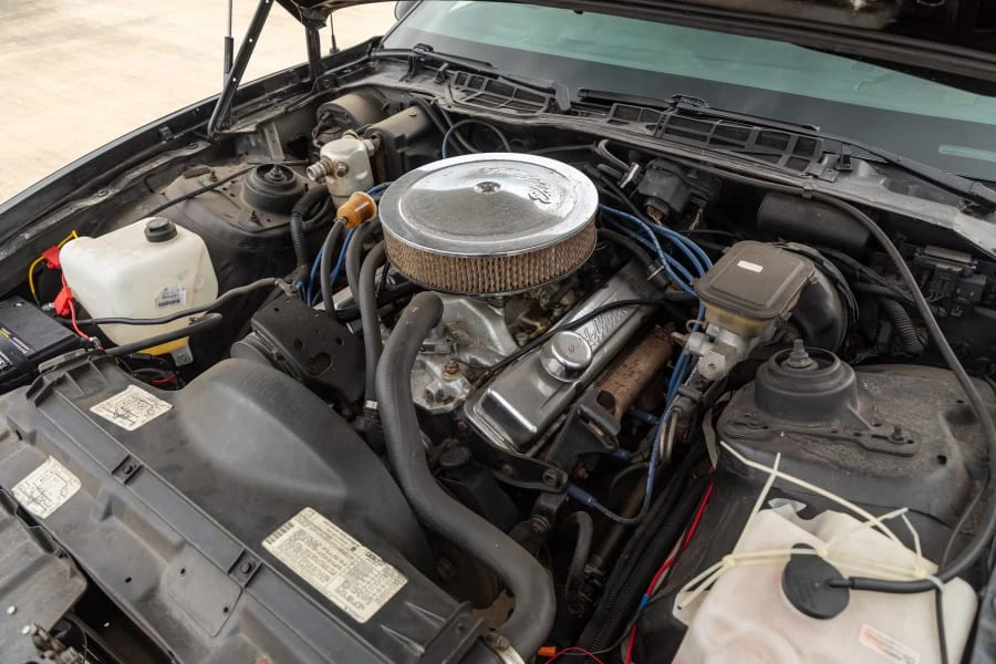 1983 Pontiac Firebird 3rd Gen - Image 29 of 29